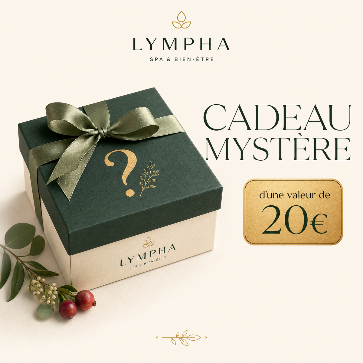 Cadeau mystère d'une valeur de 20€